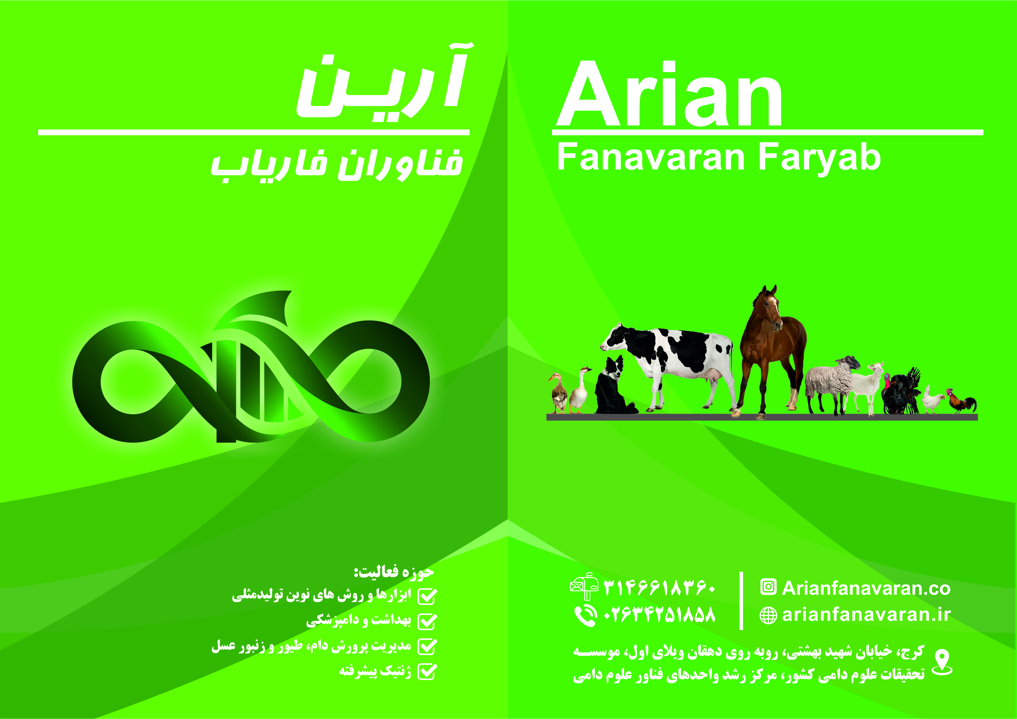 عنوان خدمات عالی ما